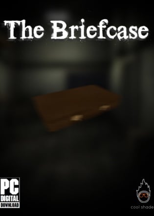 The Briefcase