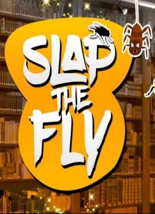 Slap The Fly