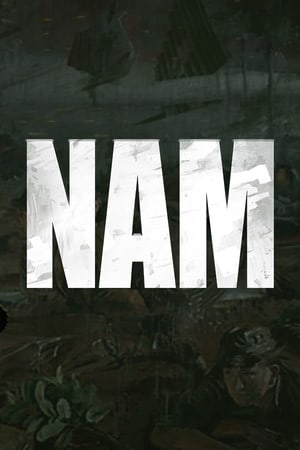 Download NAM