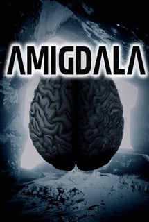 Download Amigdala