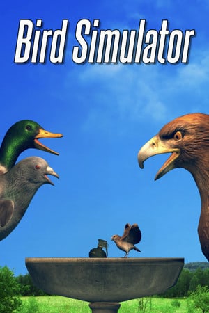 Download Bird Simulator