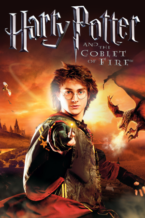 Harry Potter and the Goblet of Fire (game)