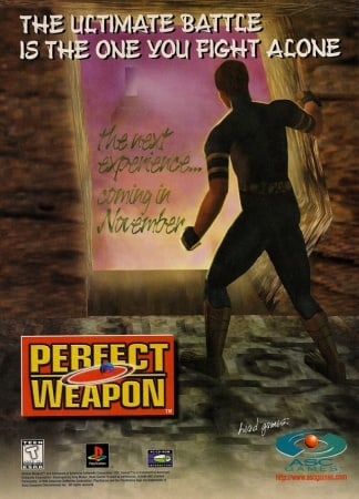 Download Perfect Weapon