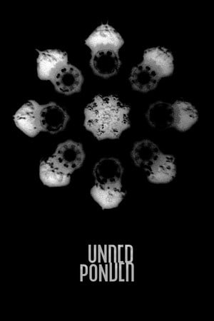 Download Underponder