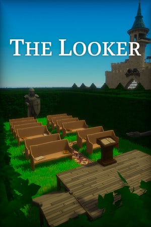 The Looker