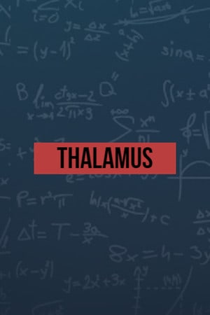 Download Thalamus