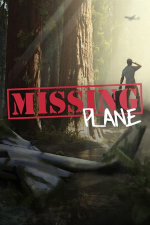 Download Missing Plane: Survival