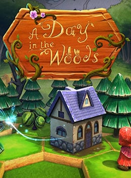 Download A Day in the Woods