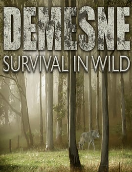 Download Demesne