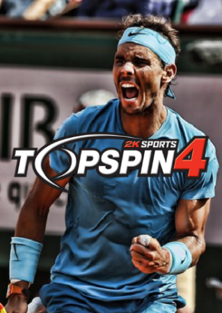 Download Top Spin 4