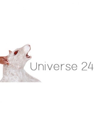 Download Universe 24