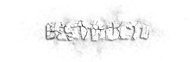 Destructo Logo